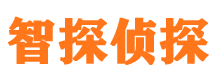 七台河调查事务所